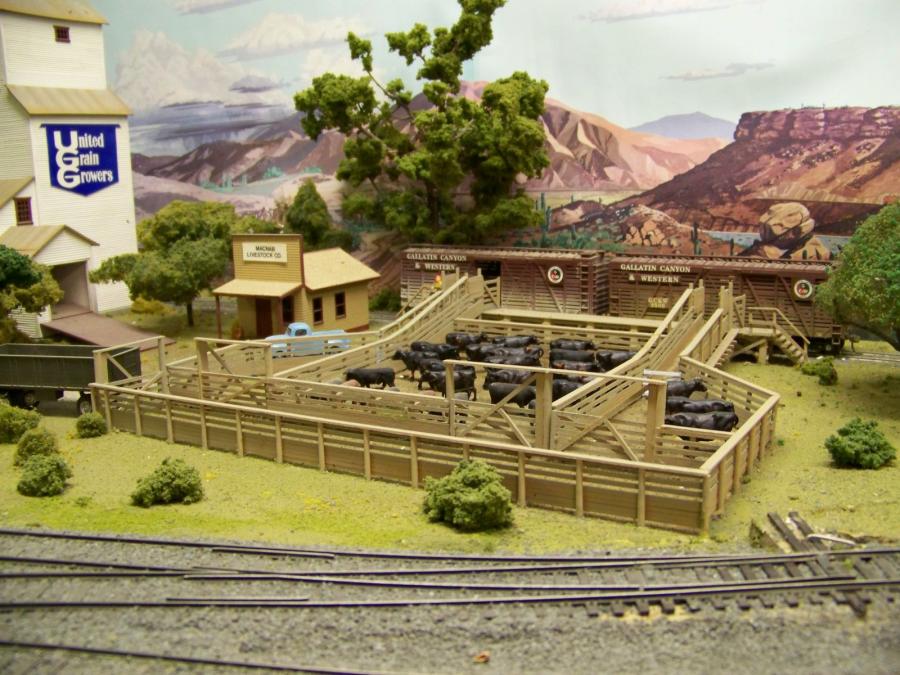 ho scale cattle